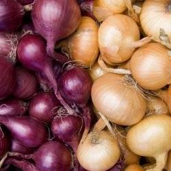 лук